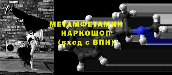 гидра Елизово