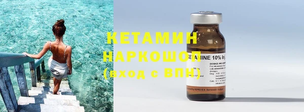 гидра Елизово