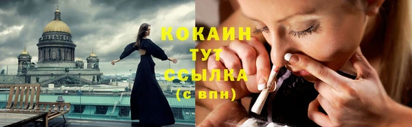 гидра Елизово
