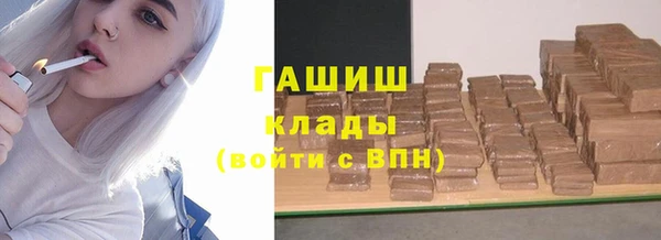 гидра Елизово