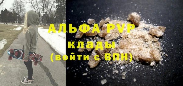 гидра Елизово