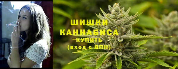 гидра Елизово