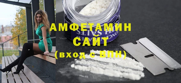 гидра Елизово