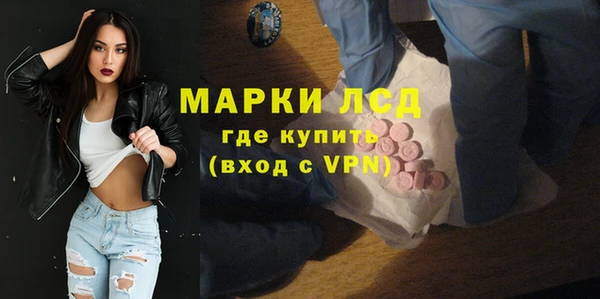 гидра Елизово