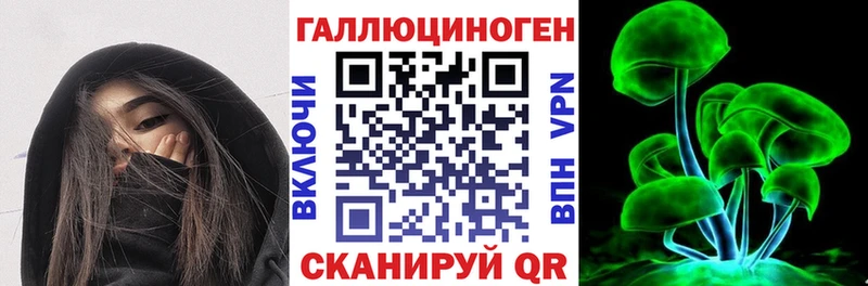 Галлюциногенные грибы Psilocybine cubensis  Купить где  Нея 